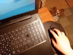 自分を活かして自立する!完全在宅ワークで働く先天性筋ジストロフィーRさんの歩み