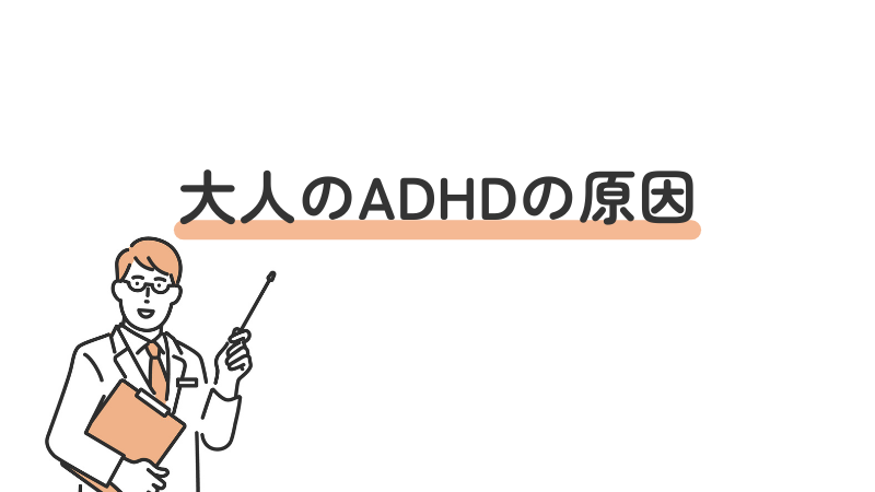 大人 ADHD 注意欠如・多動症 原因