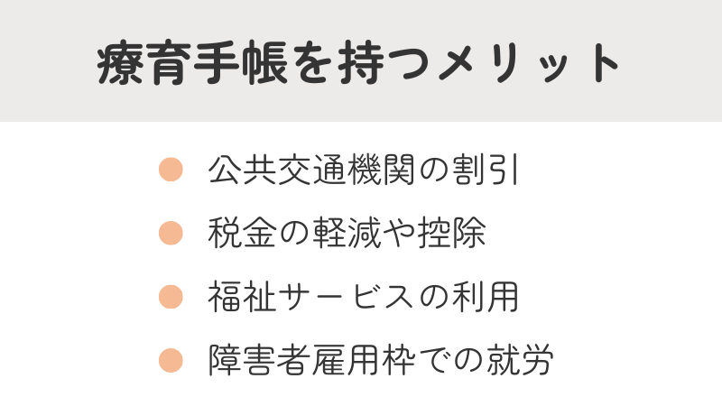 療育手帳を持つメリット一覧:公共交通機関の割引、税金の軽減・控除、福祉サービスの利用、障害者雇用枠での就労
