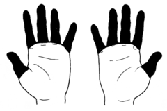 2級（手指）のイラスト