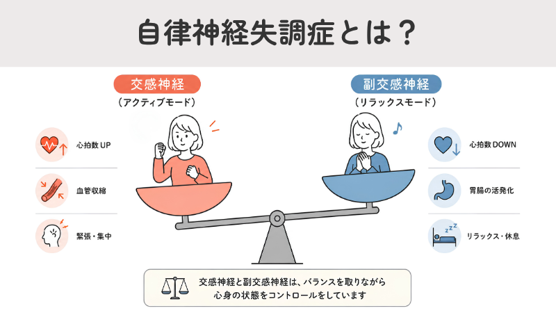 自律神経失調症とは？交感神経（心拍数UP・血管収縮・緊張・集中）と副交感神経（心拍数DOWN・胃腸の活発化・リラックス・休息）のバランスを示す図解
